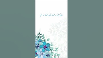 فَسُبْحَانَ اللَّهِ حِينَ تُمْسُونَ وَحِينَ تُصْبِحُونَ ٧١۝ من سورة الروم بصوت القارئ عبدالرحمن مسعد