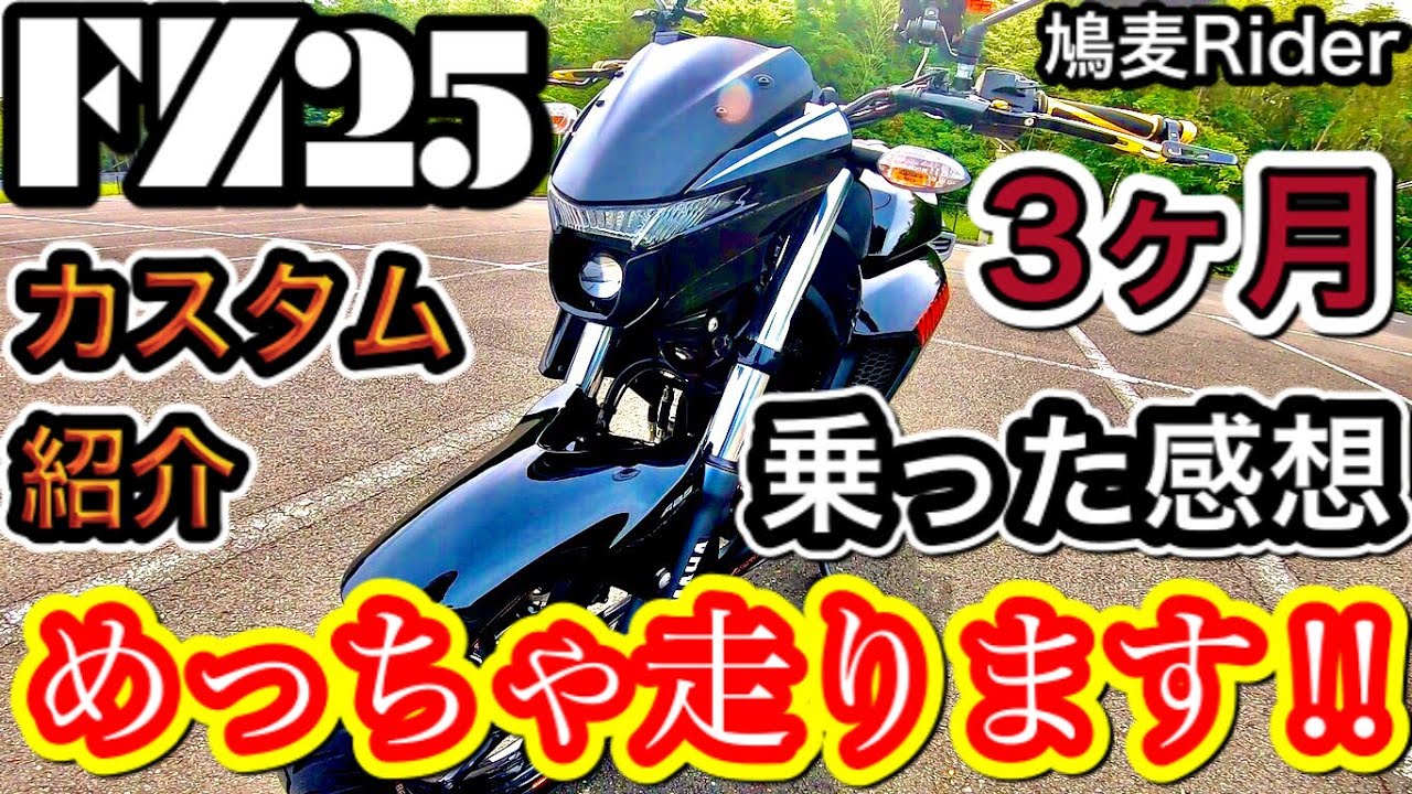 YAMAHA FZ25 黒 エンジン始動動画 自賠責保険で乗れます 半額配送