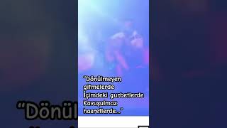 Dönülmeyen Gitmeler / Önder Alnargül Resimi