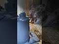 كوخ خشبي دافئ وسط غابات لفور المغطاة بالثلوج مشهد شتوي ساحر 