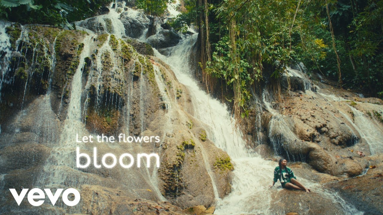 Aqyila - Bloom (Official Lyric Video) - YouTube Aqyila - Bloom (Official Lyric Video) - YouTube