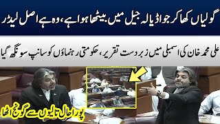 Imran Khan Real Leader | Ali Muhammad Khan Salute To Imran Khan | Blasting Speech In Assembly | TE2W