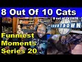 The funniest moments from Series 20 Pt 1 | 8 Out of 10 Cats Does Countdown Reaction