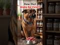 ⚠️ Hidden DANGERS of RAW Pet Diets 🥩🐾 #petsafety #shorts