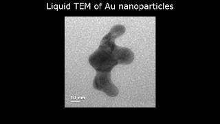 [Materials] Liquid TEM of Au nanoparticles