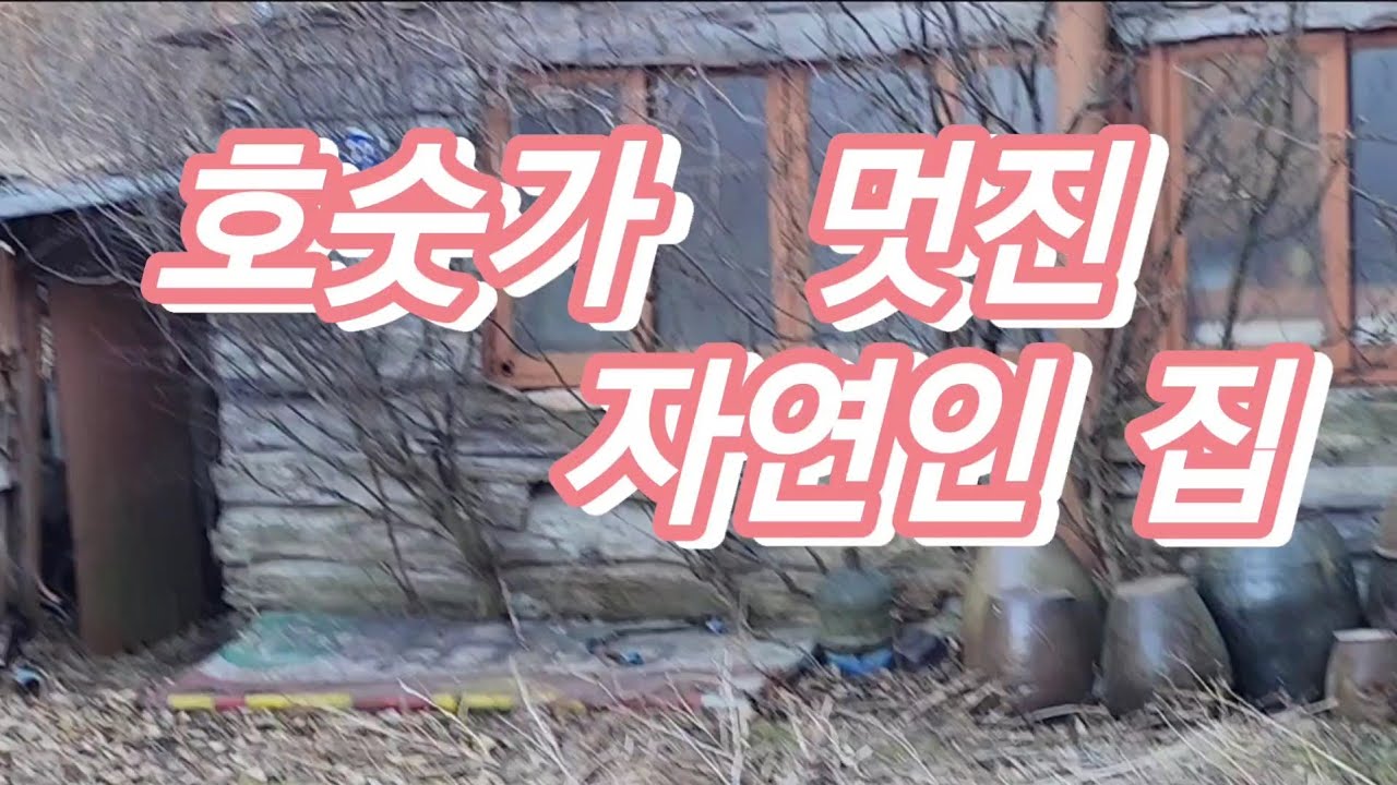 호숫가 멋진 자연인 집