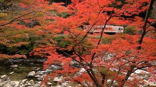 ～美杉 紅葉景～ JR名松線 (2021.11.14)