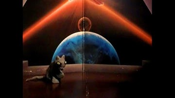 interdimensional cat