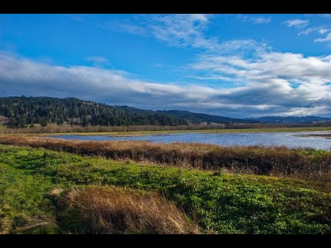 Video: Humboldt County Beaches: Ang Kumpletong Gabay