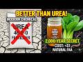 The 2,000-Year-Old Soil Secret: Better Than Urea for Under $1.