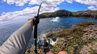 Mega Fish Eats my Lure at New Secret Island