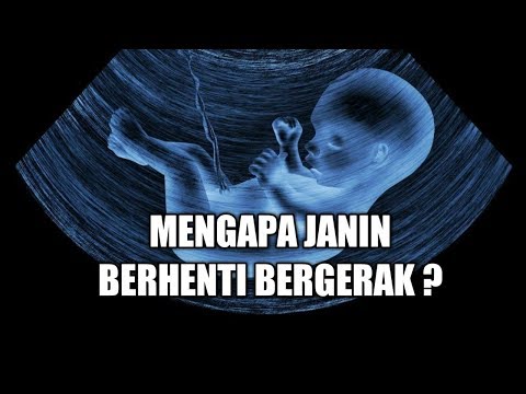 Video: Zooid manakah yang biasanya bergerak?