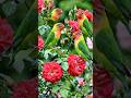 🌸🦜 Colorful Parrots in a Beautiful Flower Garden 🌿✨ | #nature #greenworldai #flowers #flowers #ai
