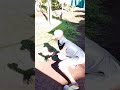 A little of misunderstanding #comedyvideo #kenyantiktok #