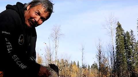robert badine Moose the moose chaser