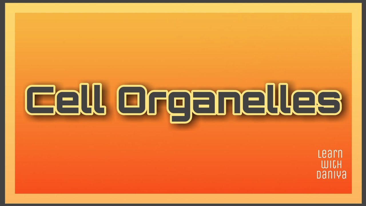 Cell Organelles | structure and function| Biology - YouTube