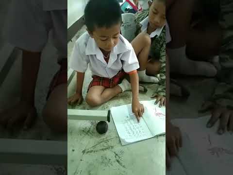 แผนสอนเสริมภาษาไทย นักเรียนระดับชั้น ป.2