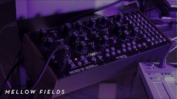 Synth Diary #1 | Moog Mother 32  | Semi-Modular Ambient