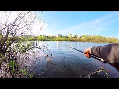 Главное вовремя ПОДСЕЧЬ! Ловля Карася на поплавок. Рыбалка в Июне