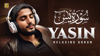 Unwind With Surah Yasin (Yaseen) سورة يس | Relaxing Touching Recitation | Zikrullah Tv