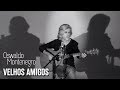 Oswaldo montenegro  velhos amigos  clipe oficial