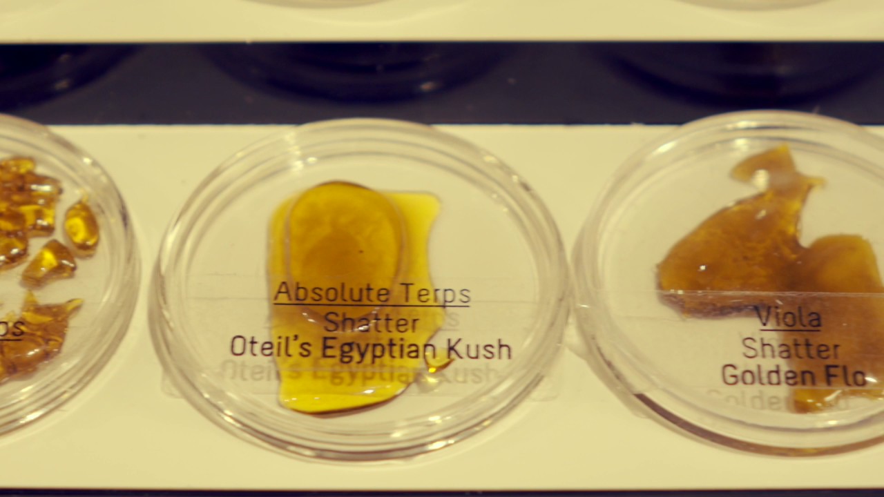 Groundswell Dispensary Tour