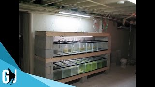 Reconstruction of my guppy tank rack (10 gals and 40 gal breeders). 1 frame every 15 seconds for 3 or 4 hours. Do you own an 