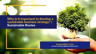 Why is it important to develop a sustainable business strategy? | Sustainable Routes Why is it important to develop a sustainable business strategy? | Sustainable Routes