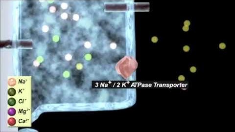 Ruthenium Project 1   A wee bit unfair FINAL VERSION