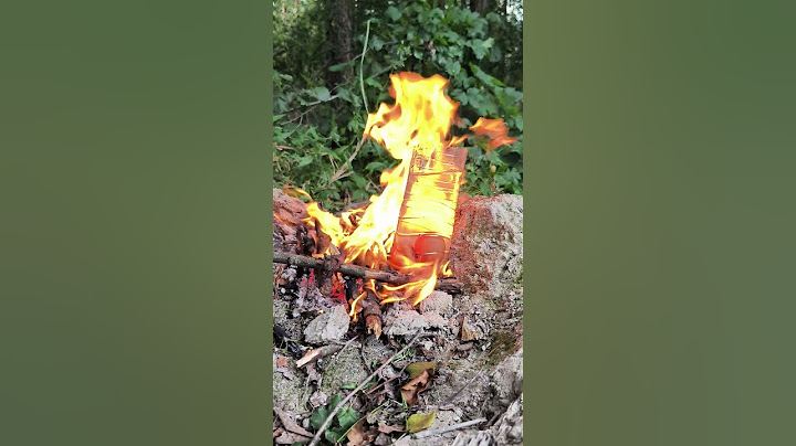 This Girl Has Perfected Her Survival Skills 🔥🥚#camping #survival #bushcraft #outdoors