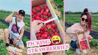 Picking strawberries with Tseley