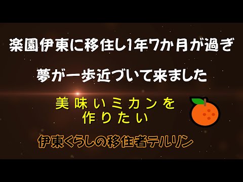伊東への移住は想像より楽園だった