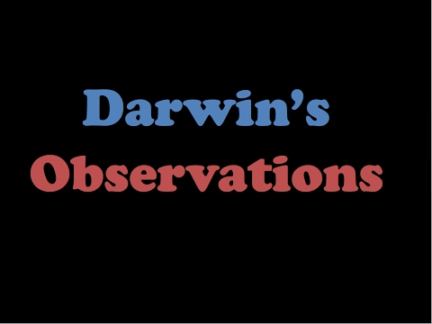 Darwin&rsquo;s Observations