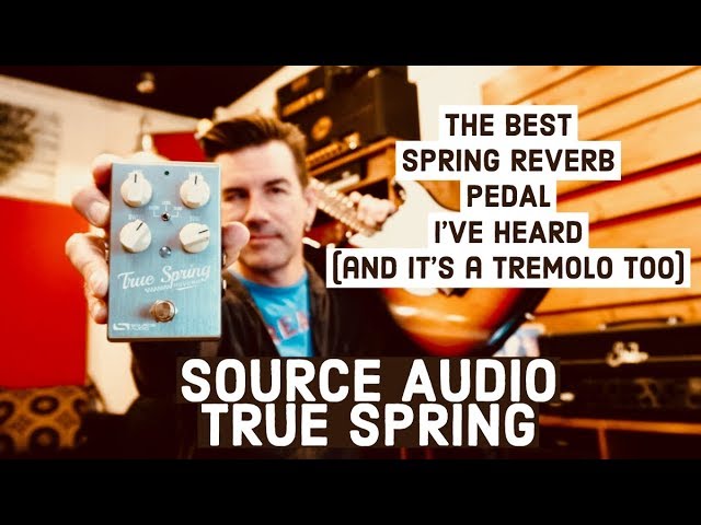 Source Audio True Spring Reverb 週末限定値下げ Source Audio True Spring Reverb 週末限定値下げ Source Audio TRUE