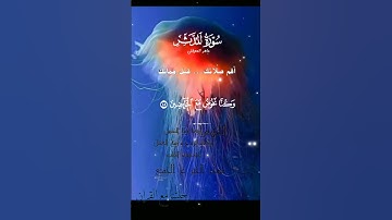 تلاوة خاشعة عطرة مباركة جميلة عذبة للشيخ ماهر المعيقلي ماتيسر من سورة المدثر