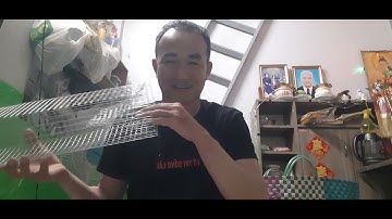 Hướng dẫn làm bẫy rắn cải tiến cực kỳ hiệu quả 2026 tạp 23