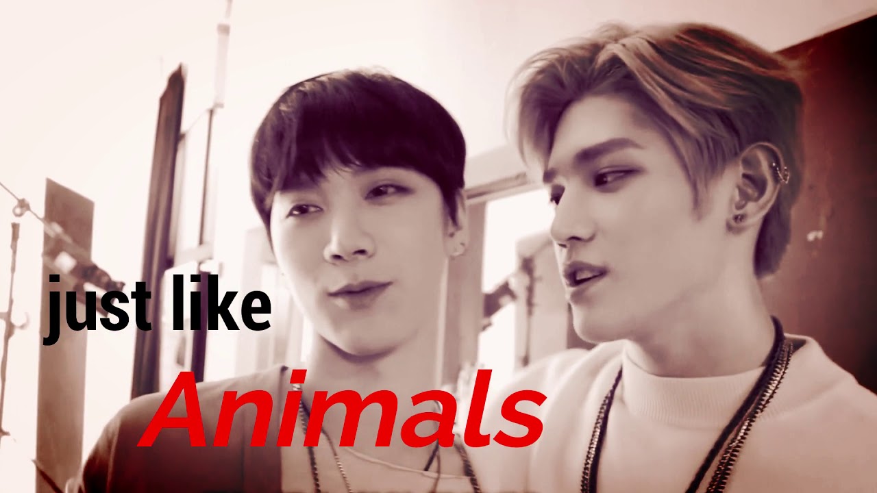 [OPV] TaeTen-Animals