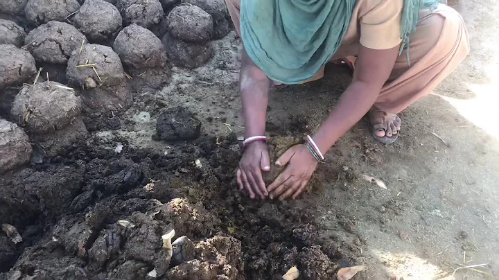 Village Life in India: Cow Dung Fuel In India