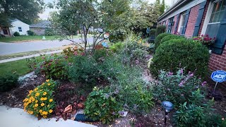 An Adorable Pollinator's Cottage Garden Tour!!