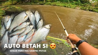 THE BEST BAIT FOR MUDDLY WATERS!! FISHING WILL AUTOMATIC HARVEST FISH