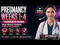 Pregnancy Weeks 1–4: What Happens Inside Your Body Before You Even Know You’re Pregnant