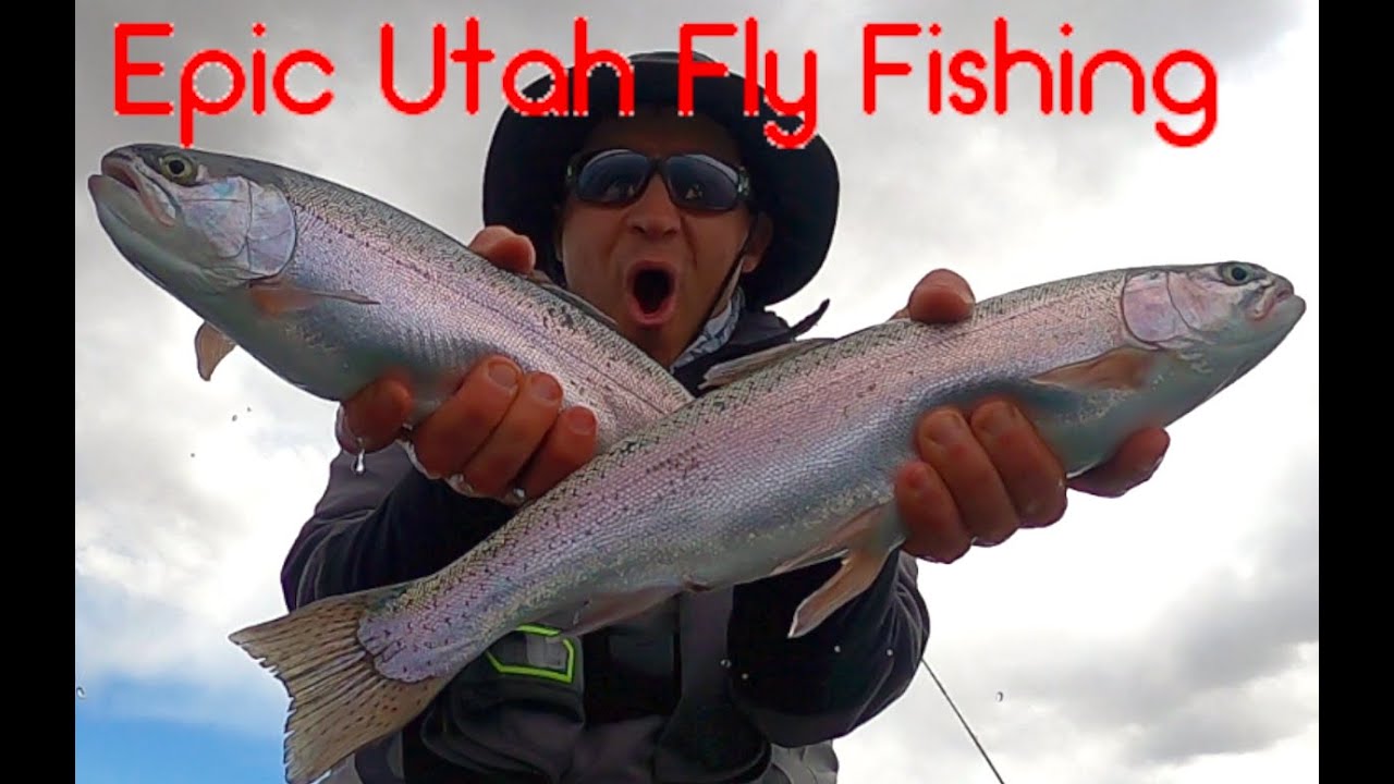 Epic Utah Fly Fishing- 2 Trout Battle
