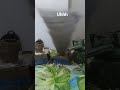 wha