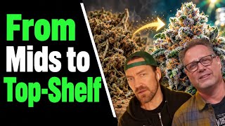From Mids to Top Shelf Here’s Why Some Strains Just Hits Different