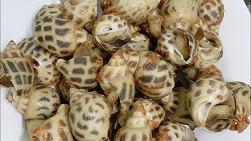 Vlog4 làm ốc hương rang muối và nước chấm thần thánh