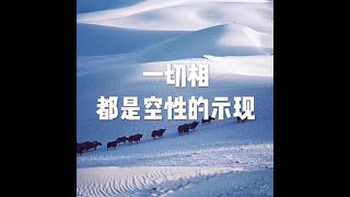 201810 一切相都是空性的示现50154