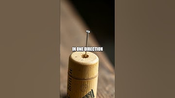 The Amazing Homemade Compass Experiment