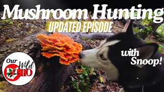 UPDATED EPISODE Mushroom Hunting with Snoop!