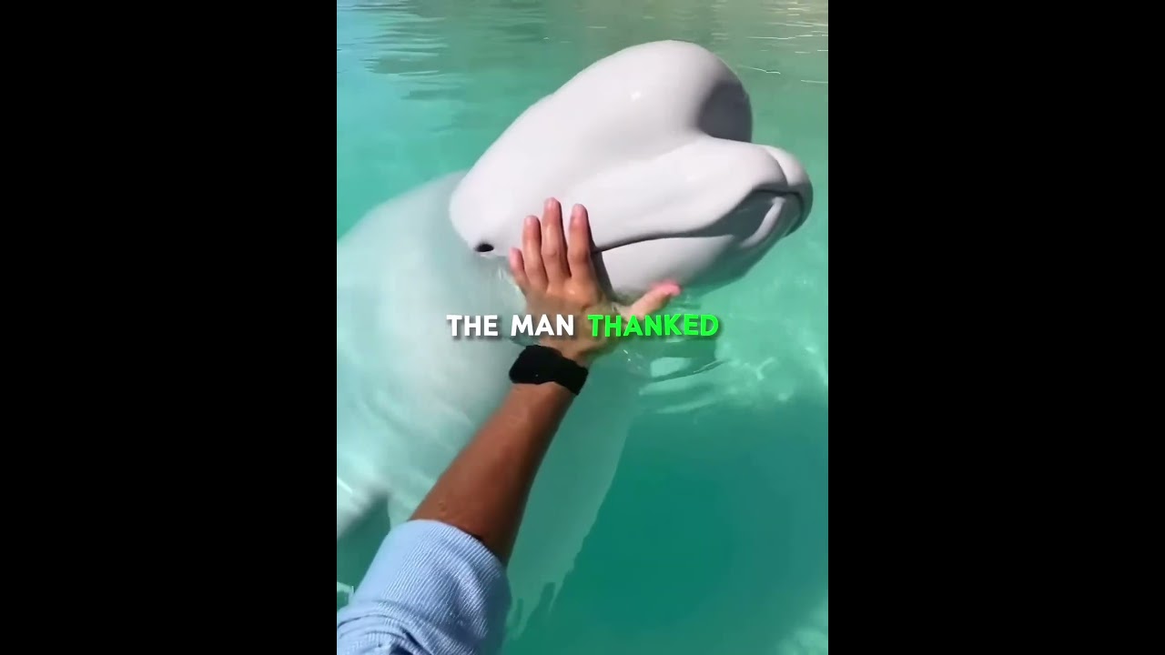 Nature Had Other Plans ❤️‍🩹