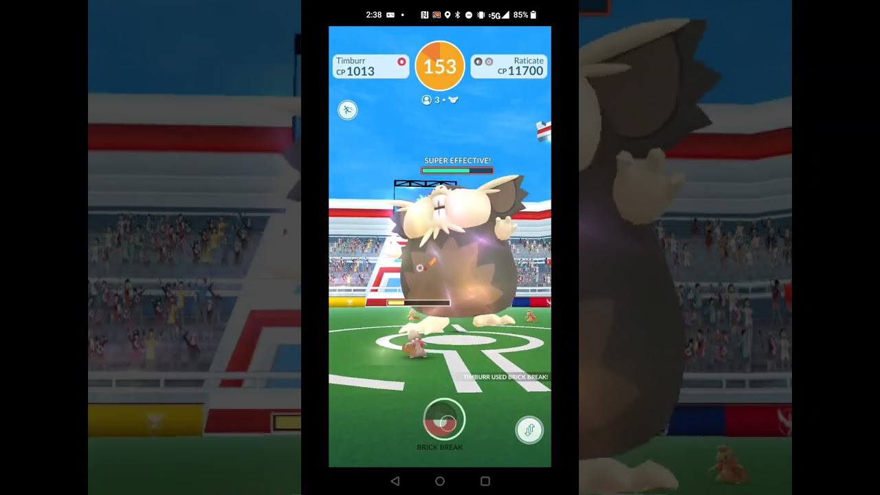 Raticate trio, Timburr only